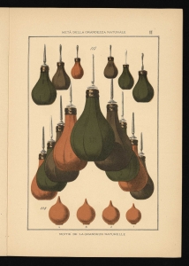 Tavole d'illustrazione al catalogo Mercerie - Igiene - Chirurgia