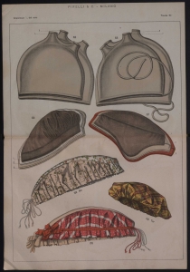 Album Articoli di Merceria - Igiene e Chirurgia 1898