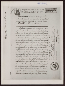 Tessuto speciale per coperture di cerchioni pneumatici da velocipedi