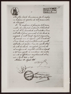 Tessuto speciale per coperture di cerchioni pneumatici da velocipedi