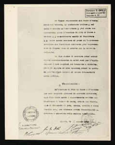 Nuovo tipo di armatura in ferro per cavi semplici percorsi da correnti alternate