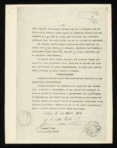 Nuovo tipo di armatura in ferro per cavi semplici percorsi da correnti alternate