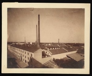 Undici vedute dello stabilimento Pirelli di via Ponte Seveso