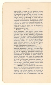 I cavi per trasporto di energia attraverso i laghi di Garda e di Como