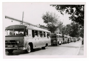Colonna di autobus in marcia verso Villanueva y Geltr&uacute;