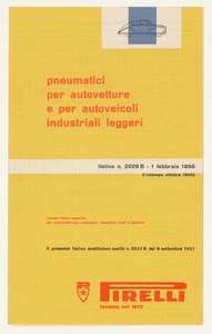 Pneumatici per autovetture e per autoveicoli industriali leggeri