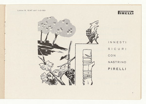 Nastrino per innesti