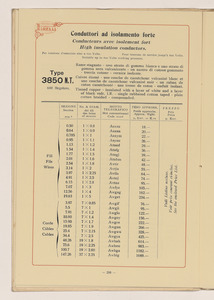 Conduttori Elettrici Isolati/Conducteurs Electriques Isol&eacute;s/Insulated electric Conductors