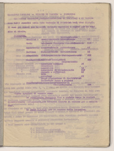Aprile 1921/Viaggio in Germania dell'Ing. Luigi Emanueli