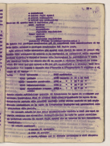 Aprile 1921/Viaggio in Germania dell'Ing. Luigi Emanueli