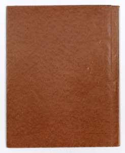 Protezione contro gas, liquidi, polveri, sostanze tossiche (per uso industriale)