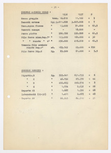Relazione sull'esercizio 1937