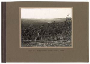 "Piantagioni di gomma - Veduta della West Division dal Blocco 37 verso la jungla"