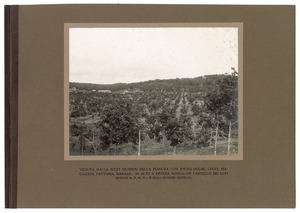 "Veduta dalla West Division della pianura con smoke-house, uffici, magazzini, fattoria, garage - In alto a destra bungalow castello dei gufi (blocchi 26, 27, 28, 39 e 18 della Divisione Centrale)"