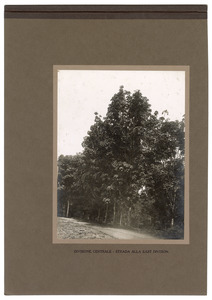 "Divisione Centrale - Strada della East Division"