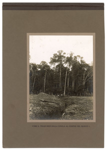 "Come il Tiram esce dalla jungla al confine del Blocco 1"