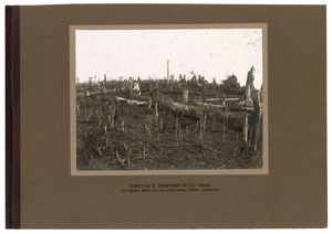 "Come era il territorio di Ulu Tiram (fotografia presa da una piantagione cinese confinante)"