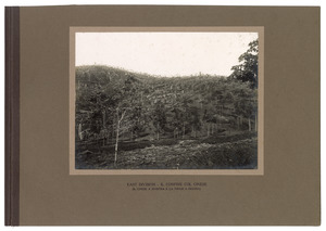 "East Division - Il confine col cinese (il cinese a sinistra e la Tiram a destra)"