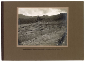 Terrazzamento del nuovo clearing Tjitjadas finito nel marzo 1921