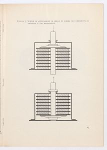 Molle di gomma tipo Batra