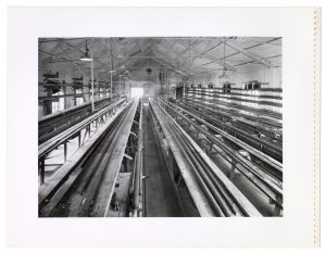 Lavorazione tubi/Lavorazione borse acqua calda/Pere sanitarie - palle tennis/Articoli di ebanite