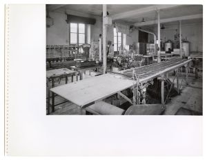 Lavorazione tubi/Lavorazione borse acqua calda/Pere sanitarie - palle tennis/Articoli di ebanite