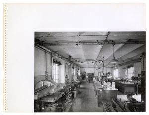 Lavorazione foglie - placche/gomme da cancellare - rivestimenti/lavorazione nastri trasportatori/cinghie - cinghiette - accessori per macchine tessili