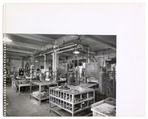 Stabilimento Brusada/Vedute esterne/Lavorazione tubi sottopiombo/lavorazione articoli tecnici/impianto termico