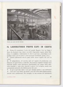 La Pirelli - cavi