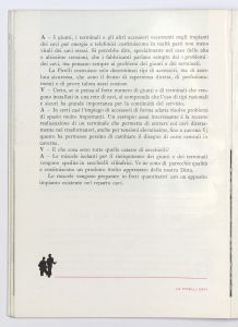 La Pirelli - cavi