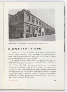 La Pirelli - cavi