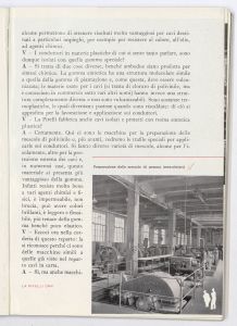 La Pirelli - cavi