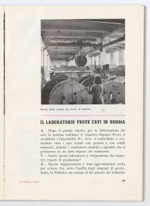 La Pirelli - cavi
