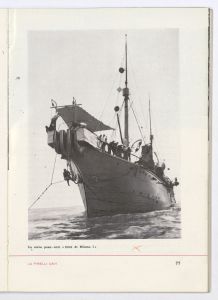 La Pirelli - cavi