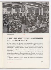 La Pirelli - cavi