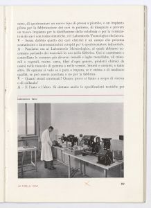 La Pirelli - cavi