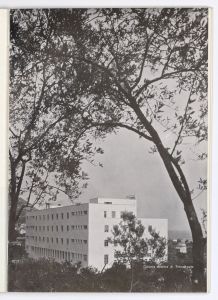 La Pirelli - cavi