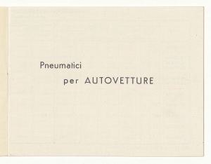 Pneumatici per autovetture e per autoveicoli industriali leggeri