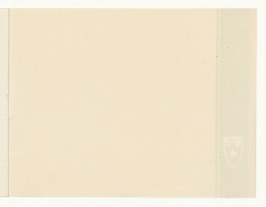 Pneumatici per autovetture e per autoveicoli industriali leggeri