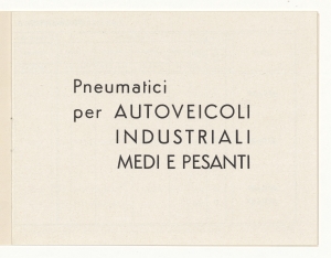 Pneumatici per autoveicoli industriali medi e pesanti