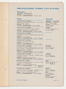 Cavi isolati con Biplasto di uso generale per impianti civili e industriali