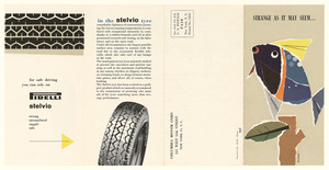 Pubblicità del pneumatico Stelvio Pirelli