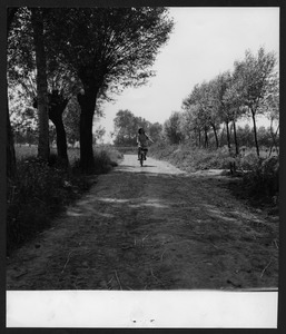 Una ragazza in sella a una bicicletta su una strada di campagna