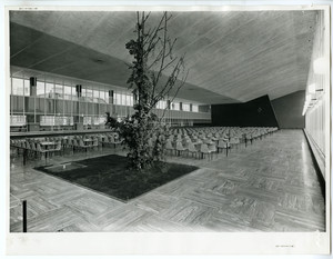 La sala ristorante da 770 posti, con una superficie di 1500 mq e pavimento in gomma. All'interno, un piccolo prato con un albero e una vasca d'acqua. La fotografia è pubblicata in Fatti e Notizie n. 11-12 1956, p. 2