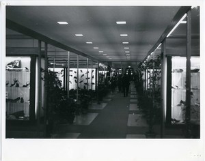 Mostra Campionaria delle Calzature, delle Pelletterie, del Cuoio di Firenze del 1961